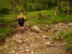 2013-06-23_Sonnenspitz_Jochberg (068).JPG